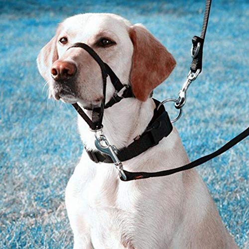 Gulunmun Bozales para Perros Nylon Dogs Head Collar Entrenamiento para Perros Halter Azul Rojo Negro Colores SML XL XXL Tallas @ Purple_M_China