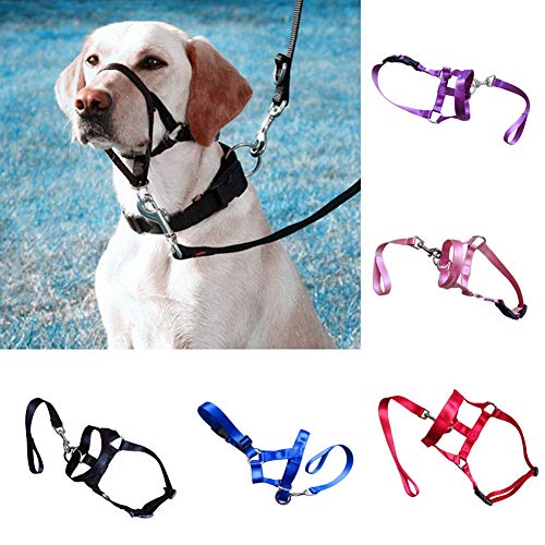 Gulunmun Collar de Cabeza de Perro de Nylon Mascota Líder Suave Sin Dolor Sin Control de tracción Correa de Entrenamiento Arnés Ajustable Entrenamiento con Cabestro Nariz Azul, S