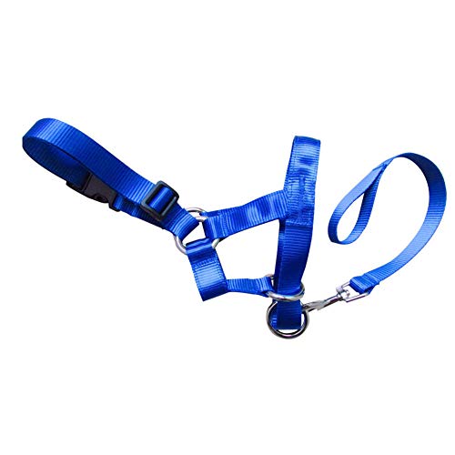 Gulunmun Collar de Cabeza de Perro de Nylon Mascota Líder Suave Sin Dolor Sin Control de tracción Correa de Entrenamiento Arnés Ajustable Entrenamiento con Cabestro Nariz Azul, S