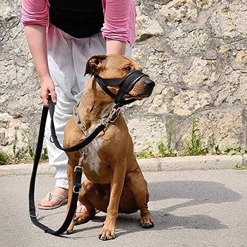 Gulunmun Nylon Bozal de Perro Mascota Ajustable Bozal Anti morder Ladrido Accesorios de masticación-Azul, XL