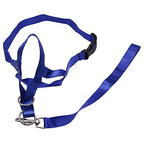 Gulunmun Pet Dog Padded Head Collar Collar de Entrenamiento para Perros Halter Deja de Tirar de la Herramienta de Entrenamiento-Azul, L