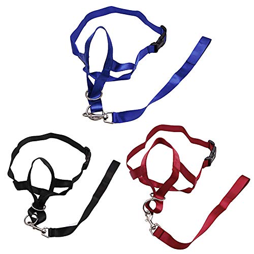 Gulunmun Pet Dog Padded Head Collar Collar de Entrenamiento para Perros Halter Deja de Tirar de la Herramienta de Entrenamiento-Azul, L