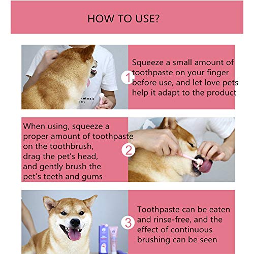 H&1 Kit Dental de Cuidado bucal para Mascotas con 1 Pasta de Dientes y 1 Cepillo, removedor bucal de Limpieza Boca Mal Aliento para Gatos y Perros