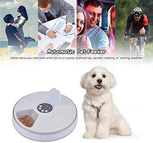 Hammer Los alimentadores automáticos for Mascotas, 6-Meal Perro y Gato alimentador con Temporizador programable Digital y la música, la porción de Control, en seco o Semi-húmedo del Perrito/Gatito /