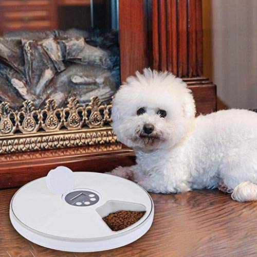 Hammer Los alimentadores automáticos for Mascotas, 6-Meal Perro y Gato alimentador con Temporizador programable Digital y la música, la porción de Control, en seco o Semi-húmedo del Perrito/Gatito /