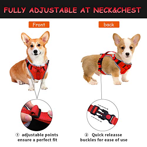 HAPPY HACHI Arnes Perro Chalecos Reflectantes Perros Pequeño Mediano Grande Ligero con Mango Nylon para Caminar Entrenamiento(XS Rojo Naranja)