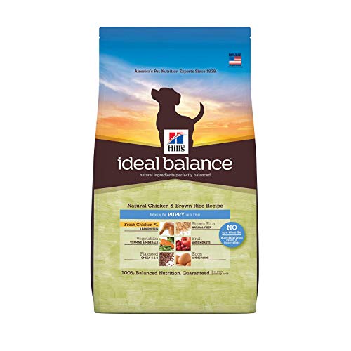 Hill's Ideal Balance Puppy Pollo y Arroz