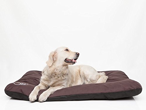 Hobbydog R1 ecobra7 Cama para Perros Eco Dormir Espacio Ruhe Espacio Perros Colchón Perro Cojín, 90 x 60 cm, L, Color marrón