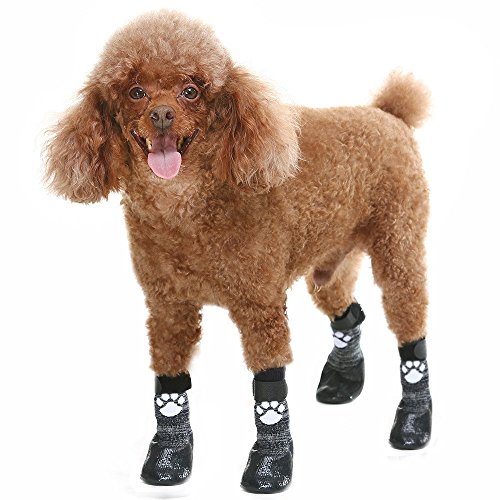 HOMIMP Calcetines antideslizantes para perro con correas de control de tracción, impermeables, protector de huellas