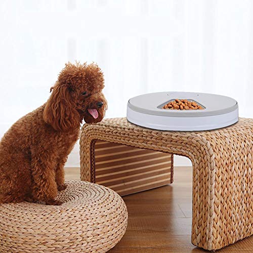 Hualieli Alimentadores Automáticos del Animal Doméstico 6 Comidas Triturador No Tripulados Máquina De Alimentación En Seco O Semi-húmedo Cachorro Gatito Conejito Dispensador De Perro Y El Alimentador