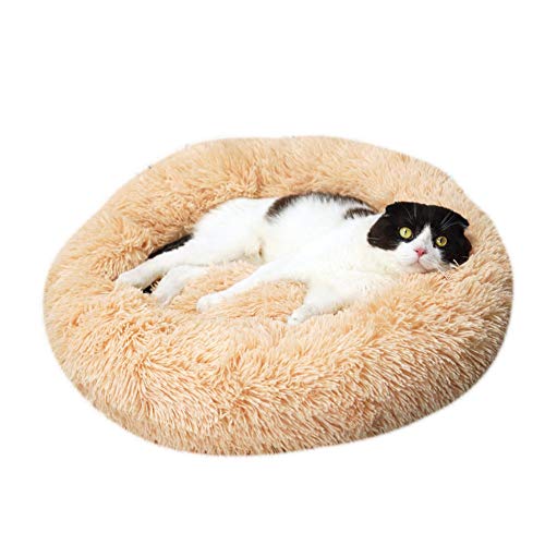 huangThroStore Cama calmante para Perros y Gatos, Cama de Felpa para Cachorros y Perros, Amarillo, 70 cm