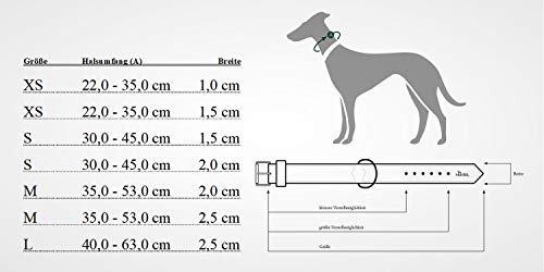 HUNTER 42017 - Collar para Perros Vario-Plus, 35-53 cm, Nylon, Marino