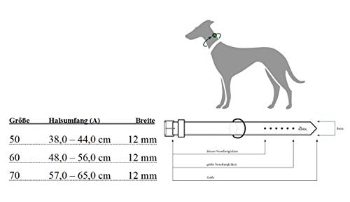 HUNTER 65942 List - Collar para Perros, Cuerda, topes de Piel, Color Azul Marino, latón, 50, Verde Oliva