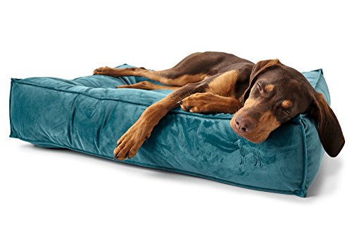 HUNTER Bristol Cama para Perros