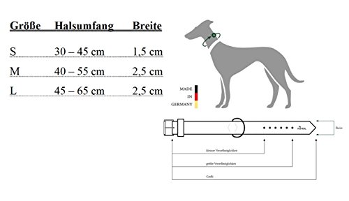 HUNTER Collar de Aluminio Resistente y Cuero sin Flor