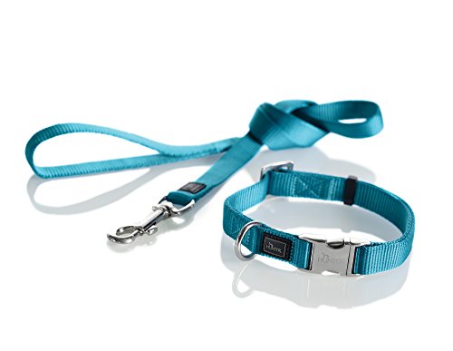 HUNTER Collar de Perro Azul P