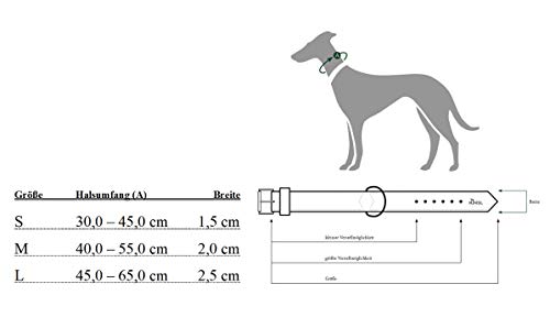 HUNTER Collar de Perro Azul P