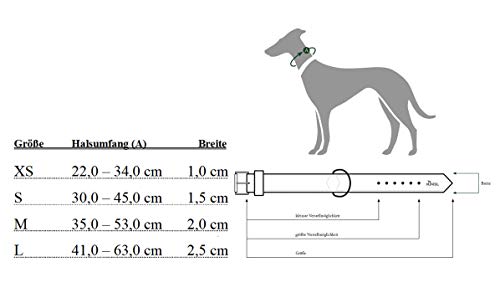 HUNTER - Collar Deportivo de Nylon Modelo Ecco Sport para Perros (L/Rojo)