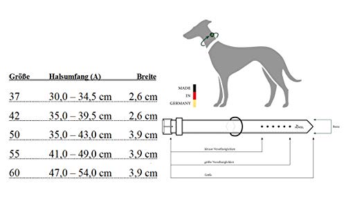 HUNTER Collar para Perros Magic Star, Cuero, Rojo/Negro, 50