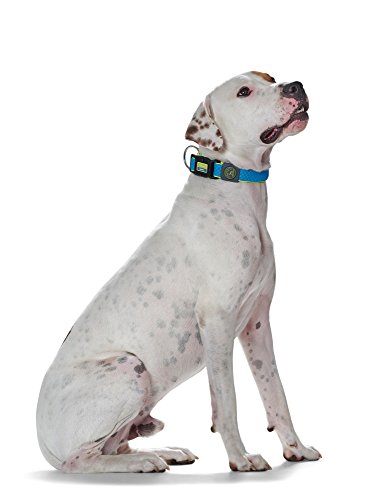 HUNTER Perros Collar Maui Vario Plus Malla, 30 – 45 cm, pequeño, Color Azul