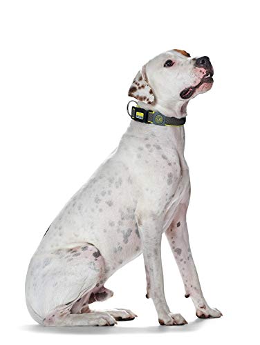 HUNTER Perros Collar Maui Vario Plus Malla, 45 – 70 cm, Large, Gris