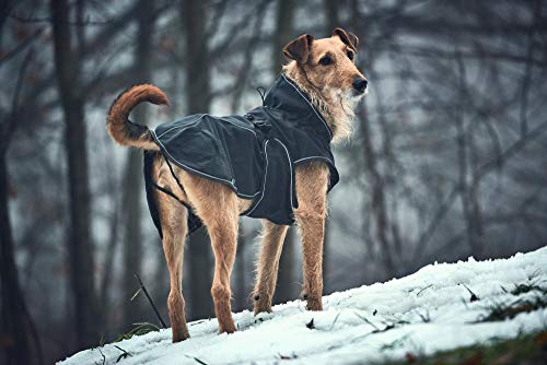 HUNTER Uppsala Softshell Abrigo para Perro,