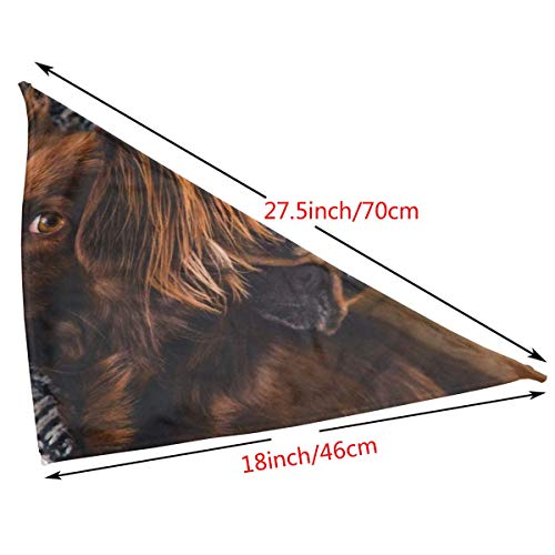 Huyotop Pañuelo para Mascotas Adulto, Color marrón Gordon Setter y Pug Pet Dog Cat Cachorro Pañuelo Bandana Baberos Cabeza Triángulo Accesorios