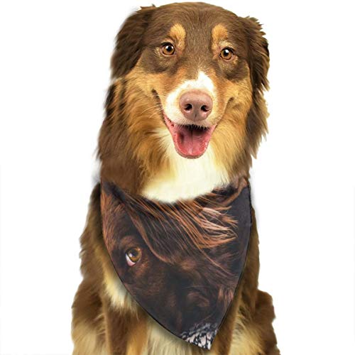 Huyotop Pañuelo para Mascotas Adulto, Color marrón Gordon Setter y Pug Pet Dog Cat Cachorro Pañuelo Bandana Baberos Cabeza Triángulo Accesorios