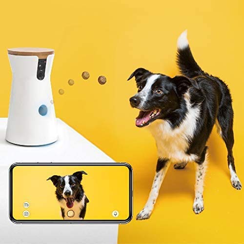 HWZQHJY Cámara interactiva for Mascotas de baterías for cámaras Full HD WiFi Mascotas con 2-Way-Audio, Que Lanza Treat, visión Nocturna y alertas de Barking, diseñados for los Perros