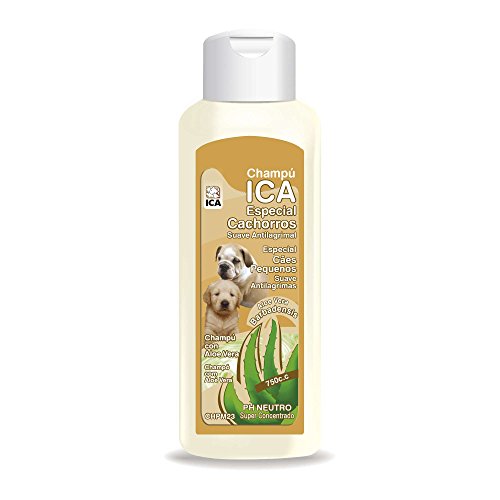 ICA CHPM23 Champú con Aloe Vera para Cachorro