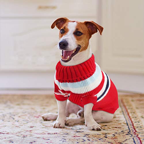 Idepet Disfraz Gato, Trajes para Perros para Gatos Pequeños y Medianos Disfraz para Invierno Navidad (M, Rojo)