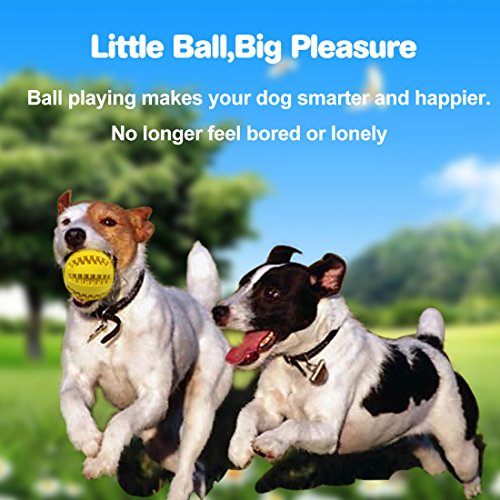 Idepet Pelota de Juguete para Perros, no tóxica para Perros Gatos, Pelota para Limpiar los Dientes de Tus Mascotas, para darles Alimentos, Pelota de Ejercicio Que Aumenta su Inteligencia