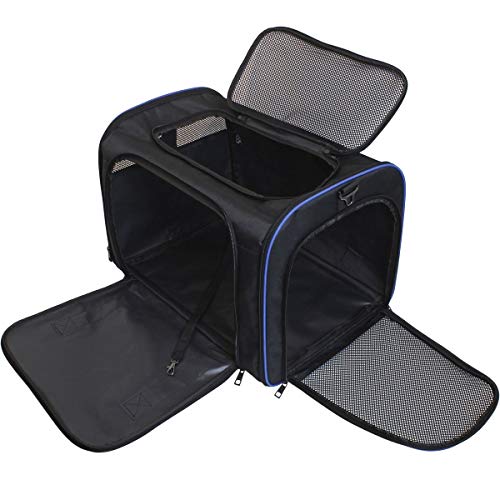 igadgitz Xtra U6998 - Trasportin Mascotas - Negro/Borde Azul - M 35 x 35 x 50cm