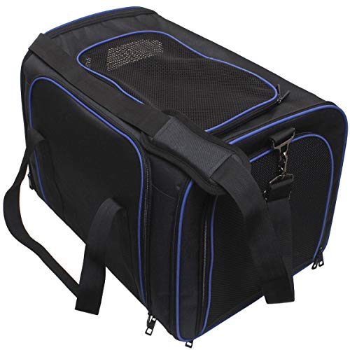 igadgitz Xtra U6998 - Trasportin Mascotas - Negro/Borde Azul - M 35 x 35 x 50cm