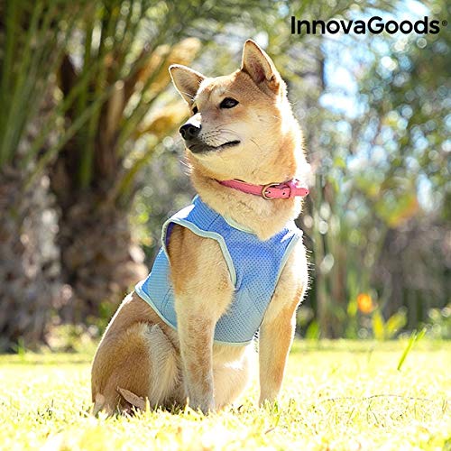 InnovaGoods IG813888 Chaleco Refrescante para Mascotas Pequeñas, S, Azul