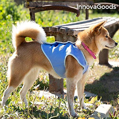 InnovaGoods IG813888 Chaleco Refrescante para Mascotas Pequeñas, S, Azul