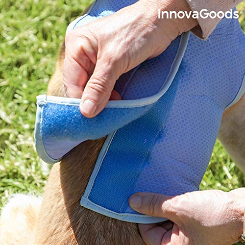 InnovaGoods IG813888 Chaleco Refrescante para Mascotas Pequeñas, S, Azul