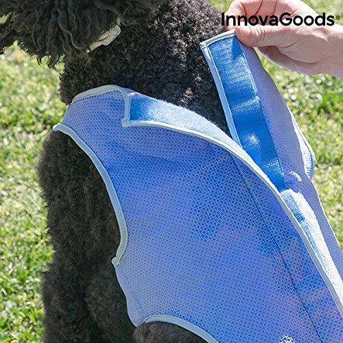 InnovaGoods IG813994 Chaleco Refrescante para Mascotas Medianas, M, Azul