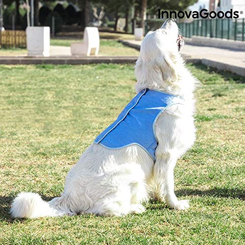 InnovaGoods IG814007 Chaleco Refrescante para Mascotas Grandes, L, Azul