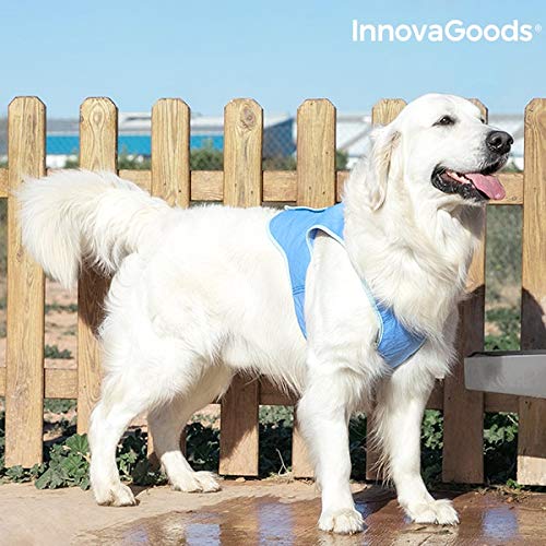 InnovaGoods IG814007 Chaleco Refrescante para Mascotas Grandes, L, Azul