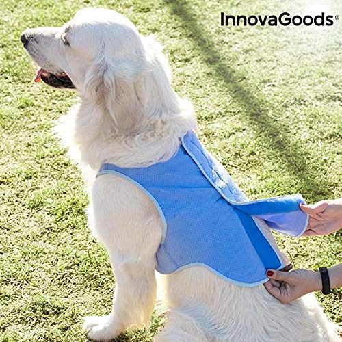 InnovaGoods IG814007 Chaleco Refrescante para Mascotas Grandes, L, Azul