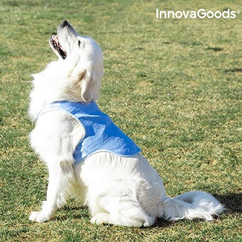 InnovaGoods IG814007 Chaleco Refrescante para Mascotas Grandes, L, Azul