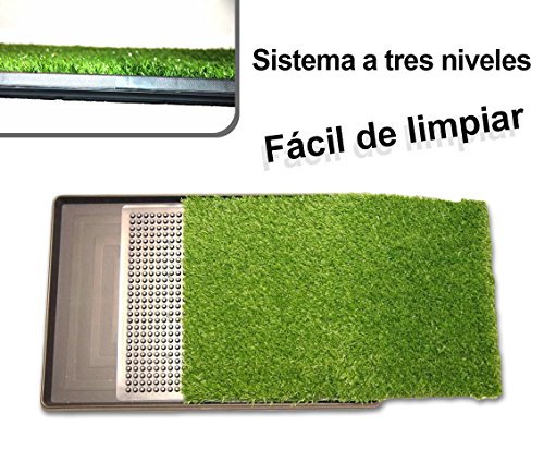 Inodoro bandeja de césped artificial educación perros POTTY PATCH 68x43x5cm