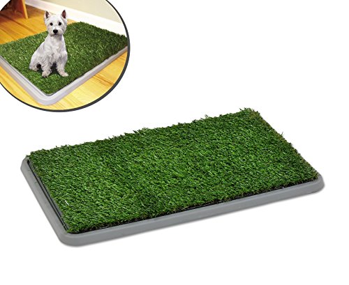 Inodoro bandeja de césped artificial educación perros POTTY PATCH 68x43x5cm