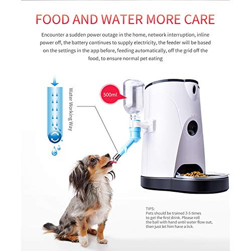 IOIOA Tratar El Hogar Inteligente HD 960P WiFi A La Cámara para Mascotas Perro Interactivo del Alimentador del Agua Alimentos Secos con 2-Way Audio Visión Nocturna por Infrarrojos A Distancia