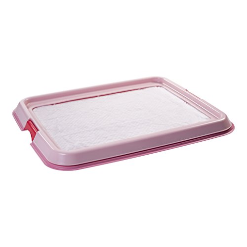 Iris Ohyama, entrenamiento del perro / bandeja de la educación a la limpieza - Pet Tray - FT-650, plástico, rosa, 65 x 55 x 5 cm