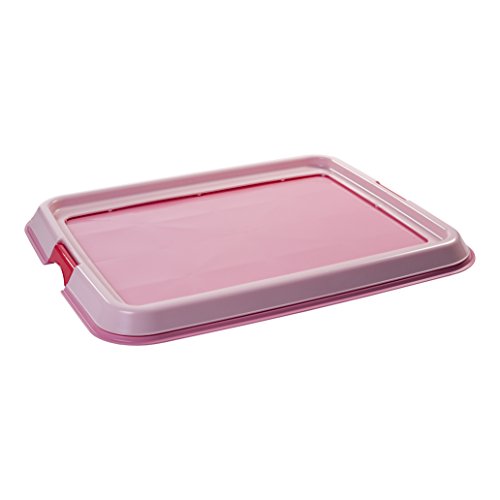 Iris Ohyama, entrenamiento del perro / bandeja de la educación a la limpieza - Pet Tray - FT-650, plástico, rosa, 65 x 55 x 5 cm