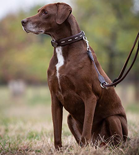 Jack & Russell Premium Correa de Perro de Cuero Dora 2,0m - Correa de Perro de Cuero con mosquetón - Correa de Cuero Genuino múltiples Ajustable (Marrón)