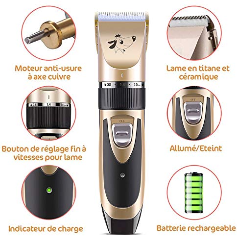 JICYU Cortapelos Animales Perros Gatos Profesional,Set Maquina Cortar Pelo Perros Mascota de Silencioso Inalámbrico Recargable,Clipper de Bajo Ruido Engranaje Ajustable, Perro,Rose Gold