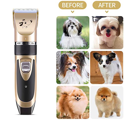 JICYU Cortapelos Animales Perros Gatos Profesional,Set Maquina Cortar Pelo Perros Mascota de Silencioso Inalámbrico Recargable,Clipper de Bajo Ruido Engranaje Ajustable, Perro,Rose Gold